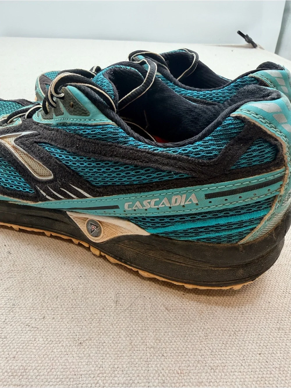 Brooks Cascadia 12